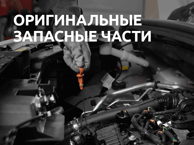 Автозапчасти ситроен химки