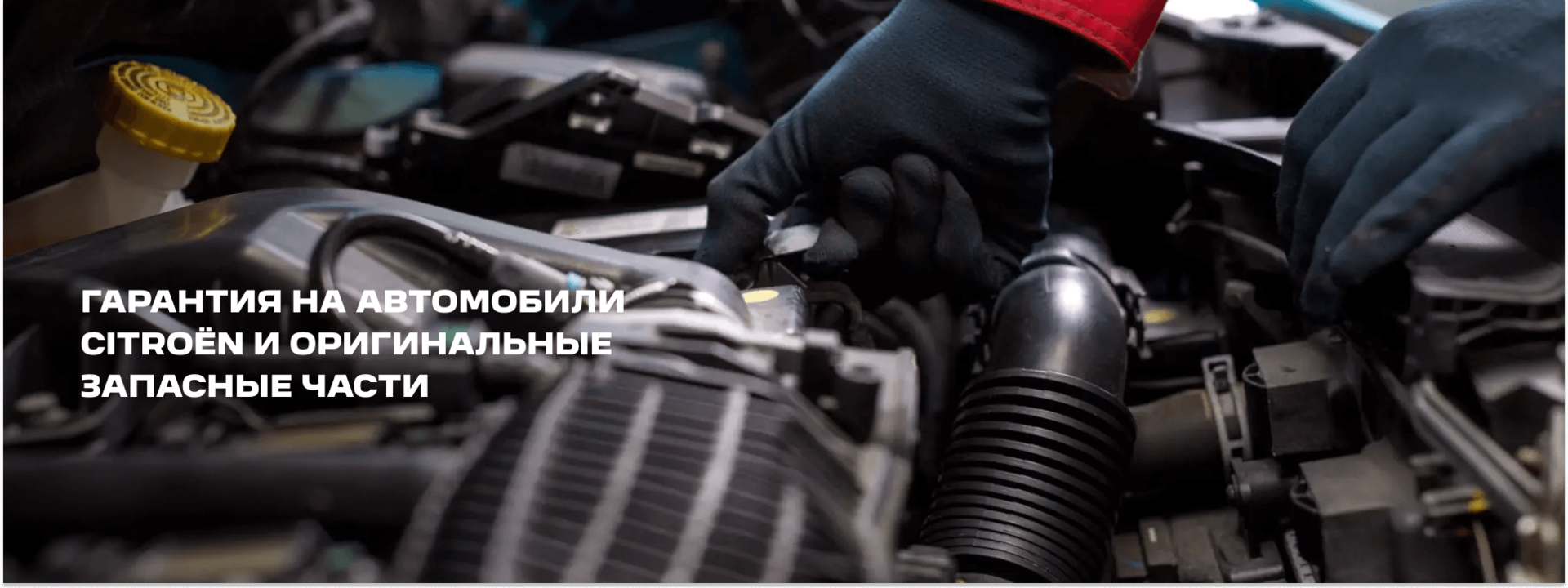 Условия гарантии