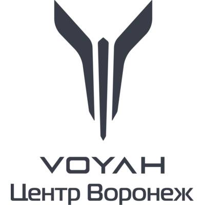 Официальный дилер VOYAH в Воронеже, купить электромобиль премиум класса ...